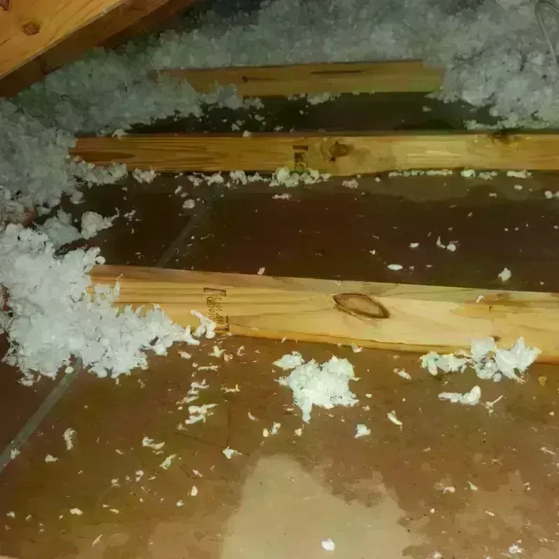 Attic Water Damage in Whitefield, NH